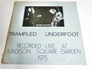 LED ZEPPELIN-TRAMPLED UNDERFOOT-LP/Vinyl/Record