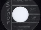 HEAR Sanz, Incorporated-I’m Gonna Leave You moody ‘66 IN hypnotic garage mover