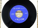 BEATLES LEE ALAN A TRIP TO MIAMI pts. 1/2 VERY RARE 1964 INTERVIEW 45 NEAR MINT