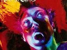 Alice in Chains - Facelift Vinyl LP Soundgarden Nirvana