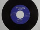 Sting Rays - Minnesota garage 45 on Welhaven 