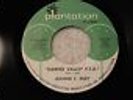 JEANNIE C. RILEY 45rpm 