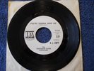 THIRTEENTH FLOOR ELEVATORS - Tried to Hide, psych 45 on I.A. WL PROMO NEAR MINT