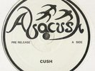 ABACUSH Cush / Physically ROOTS REGGAE SHAKA DUB 12” ??
