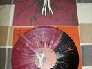 Fall of Troy- Doppelganger Touche Amore Converge BTBAM Thursday Dredg Glassjaw