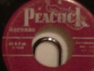 Tempo Toppers Peacock 1628 Always Little Richard