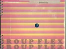GROUP FLEX - Castle Face Records- Ty Segall MIKAL CRONIN thee oh sees BARE WIRES