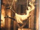 PORCUPINE TREE, Signify, Steven Wilson, 180 Gram Kscope HQ Vinyl Double LP,  NEU