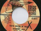 SAMMY JAY  - YOU`RE DRIVING ME INSANE  TRIBE  RARE  LISTEN