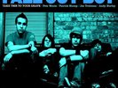 Fall Out Boy Take This To Your Grave Random Mixed Vinyl LP