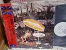 Supertramp / Crisis? What Craisi?, Japan A & M LP, Promo White Label