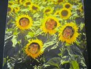 SUNNYBOYS - Individuals 1982 Original  Aust vinyl LP post punk/power pop