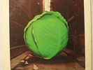 The Meters - Cabbage Alley 1972 white label promo Reprise LP (Neville Brothers)