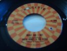 Rare Northern Soul 45-Anita Humes & Essex-What Did I Do ? -Roulette