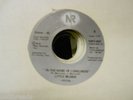 LITTLE REUBEN - In The Name Of Loneliness - DETROIT NORTHERN SOUL 45-New Records