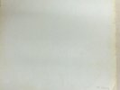 The beatles White Album Vinyl Top Loader Numbered With Photos And Poster Mono
