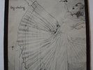 Annette Peacock - Sky-skating   LP