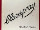 Bluesspray – Electric Blues (198?) Jam Blues Rock - rare Private Press