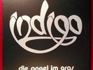 Indigo – Die Angel Im Gras (1978) Cosmic Kraut -  Private Press