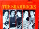 VINYL LP -  THE SHAMROCKS - THE 60 ' S  BEAT  - RARES TEIL IM SUPER ZUSTAND -