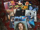 12 LP TED NUGENT - u.a. Scream dream,State of shock,Free for all,Live