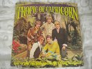 CHRIS PARFITT AND THE HI-REVVING TONGUES , TROPICS OF CAPRICORN NZ PSYCH