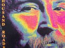 DAVID CROSBY - Thousand Roads (1993  German-Only Non-USA Near Mint LP)