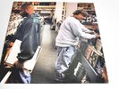 Dj Shadow-Endtroducing-LP/Vinyl/Record
