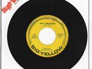 STARK REALITY Say Brother / Prelude To Say Brother rare 45 new Big Yellow 63