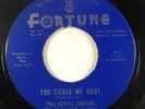 Doo Wop/R&B 45 ROYAL JOKERS You Tickle Me Baby / You Came Along on Fortune VG++