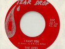 The Jives I Want You TEXAS LATIN FUNK SOUL TEAR DROP 45 LISTEN