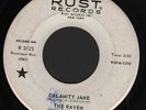 (Hear) 1968 The Raven Mod Garage Freakbeat Fuzz DJ 45 (Calamity Jane)