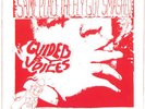 Guided by Voices 