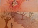 BRAZIL PSYCH FOLK ROCK EDUARDO ARAUJO SILVINHA  SOU FILHO DESSE TOP SHAPE LISTEN