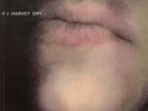 P J HARVEY-LP- DRY- 1992- MINT