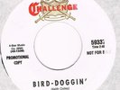 Challenge GENE VINCENT Bird doggin' Demo - Massive mod / psych freakout 