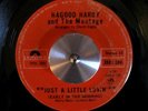 HAGOOD HARDY & MONTAGE rare sunshine pop 45-only rarity LISTEN
