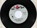THE SEVEN OF US: HOW COULD YOU- EARLY NRBQ? RED BIRD 10-069 NICE COPY--HEAR IT
