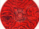 CEREMONY 6 Cover Songs LP rare BRIDGE NINE RECORDS