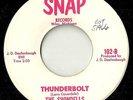 SHONDELLS THUNDERBOLT HANKY PANKY SNAP 102 SURF INSTR. 45 hear