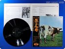 PINK FLOYD 