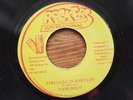 STRUGGLE IN BABYLON YAMI BOLO PABLO CLASSIC DIGI reggae 7