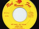 TERRY LEE - HEY BABY HEY SUGAR - COOL ROCK 45 ON RED FOX LABLE HEAR IT LISTEN