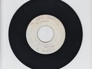 BLANK/MR NATTY DREAD  -  M PERRY   (REGGAE ROCKERS 7