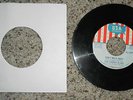 U.S.A. Promo 45 RPM - The Cherry Slush - I Cannot Stop You/Don't Walk Away