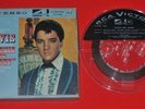 Elvis 