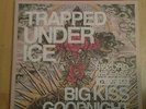 Rare Trapped Under Ice Big Kiss Goodnight Record Release LP Red Vinyl TUI