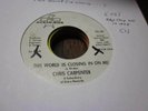34J VG garage Chris Carpenter Ocean Side 100 45 rpm PROMO this world is cl