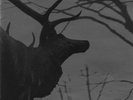 Agalloch 