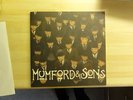 Mumford & and sons 10